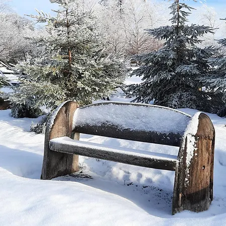 Penzion Schaeferhaus, Incl Meinecardplus Willingen (Upland)